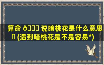 算命 🐝 说暗桃花是什么意思 ☘ (遇到暗桃花是不是容易*
)